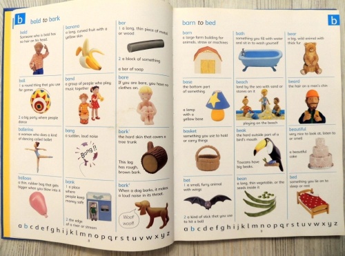 The Usborne Picture Dictionary  6