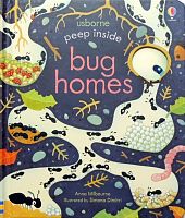 Peep Inside Bug Homes
