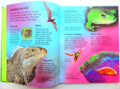 Usborne First Encyclopedia of Animals  3