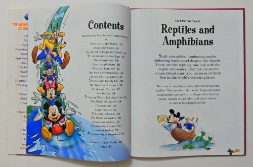 Reptiles and Amphibians  2