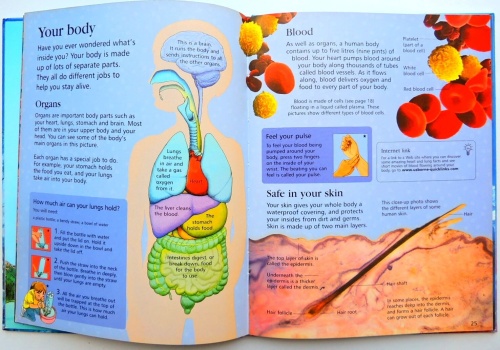 The Usborne Internet-linked First Encyclopedia of Science  5