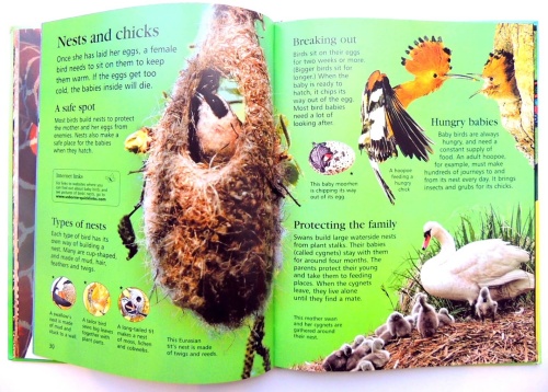 Usborne First Encyclopedia of Animals  6