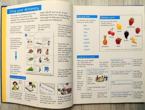 The Usborne Picture Dictionary  3
