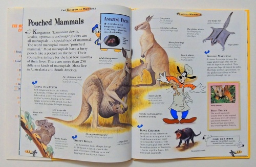 The Kingdom of Mammals  4