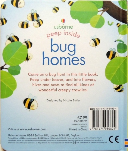 Peep Inside Bug Homes  2