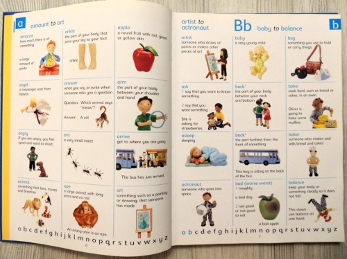 The Usborne Picture Dictionary  5