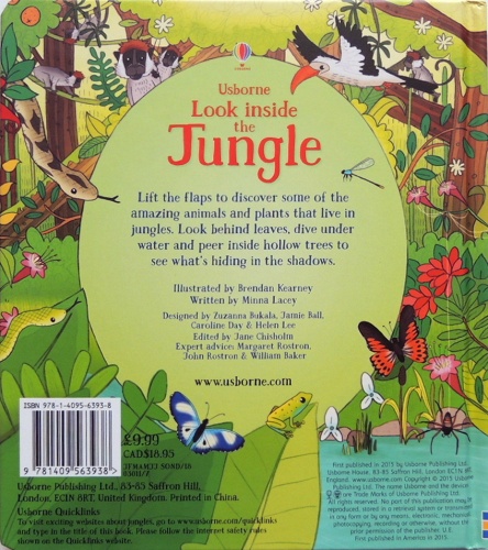Look Inside The Jungle  2