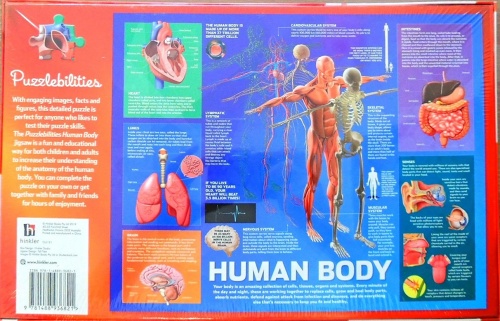 Human Body_500 piece jigsaw puzzle  2