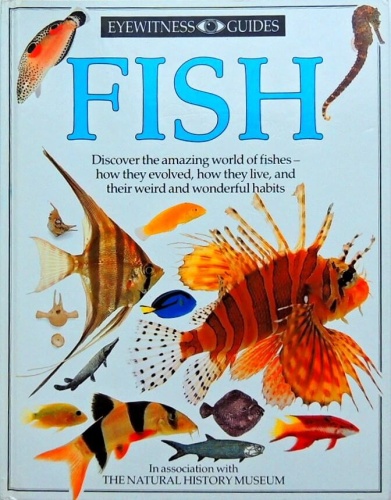 FISH. Eyewitness guides