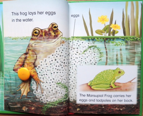 Read it yourself . Level 2. Tadpoles and Frogs  3