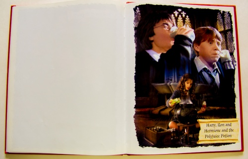 Harry Potter and the Chamber of Secrets: Pull-out Poster Book (Harry Potter)  5