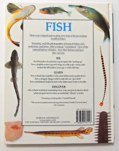 FISH. Eyewitness guides  2