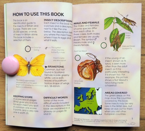 Bugs & Insects Usborne Spotter's Guides  3