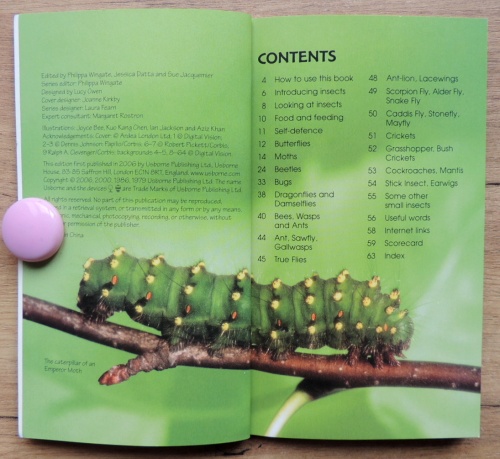 Bugs & Insects Usborne Spotter's Guides  2
