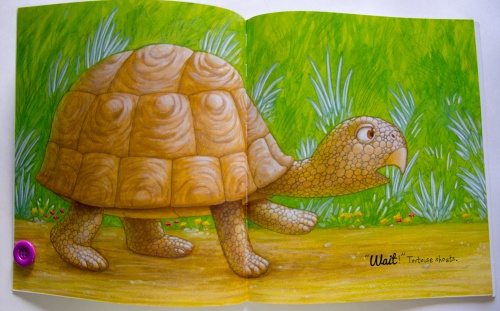 The Great Tortoise and Hare  2
