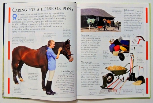 Pony Care  6