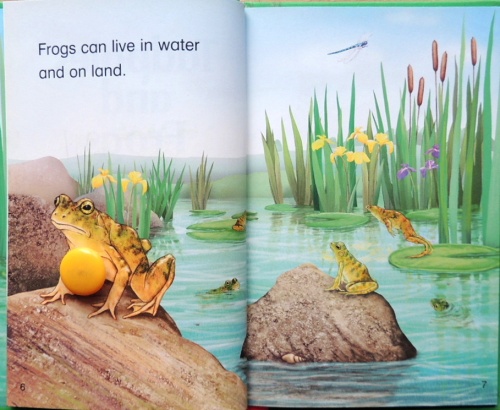 Read it yourself . Level 2. Tadpoles and Frogs  2