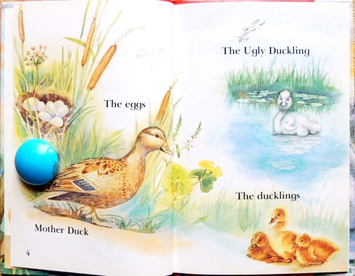 Read it yourself.The ugly duckling.   2