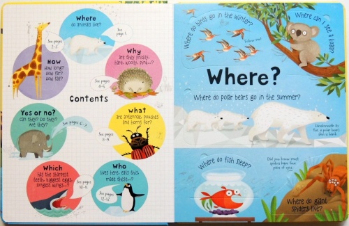 Lift-the-Flap Questions and Answers about Animals  3